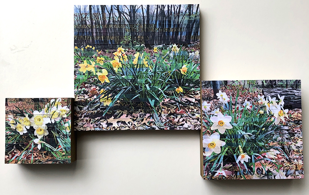 Click here to view Spring's First Gifts by Lori Reed