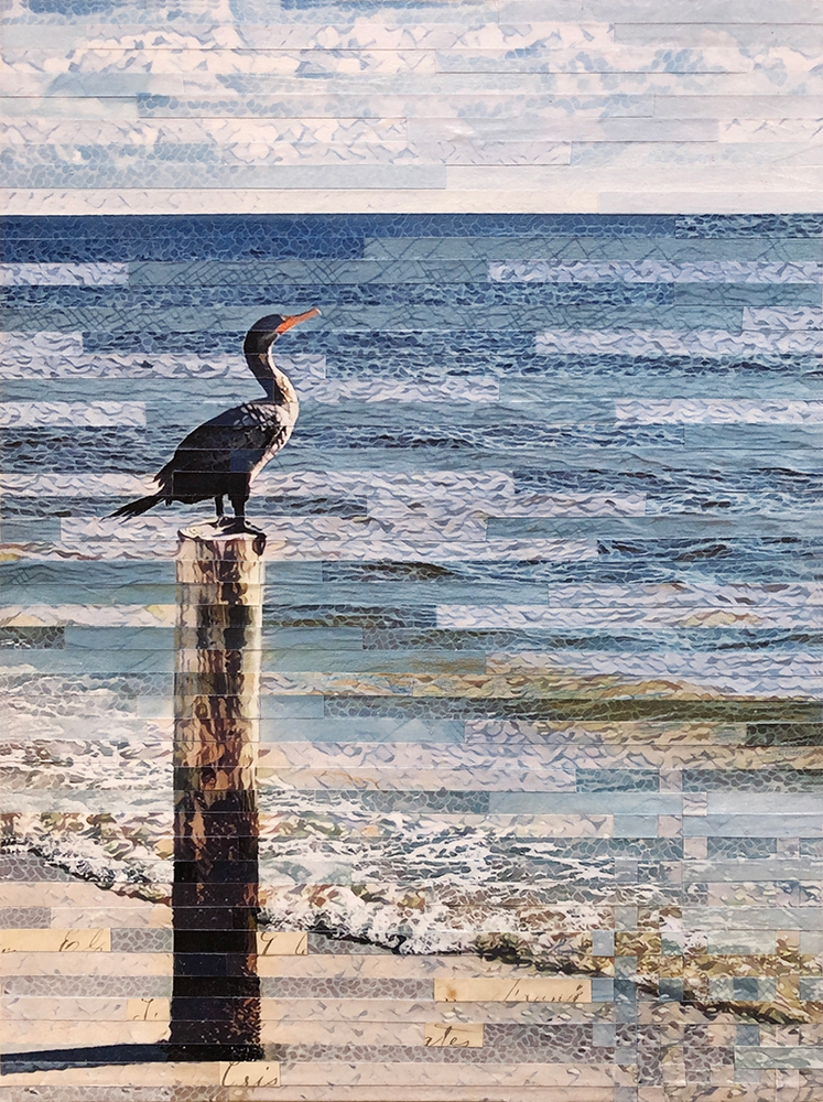 Click here to view Contemplation of the Cormorant by Lori Reed