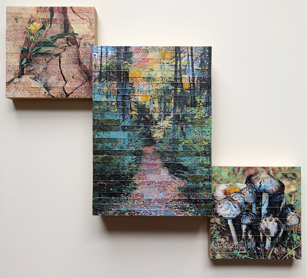 Click here to view Autumn Trek by Lori Reed