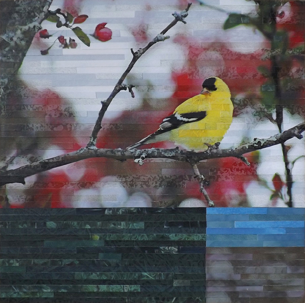Click here to view Golden Visitor by Lori Reed