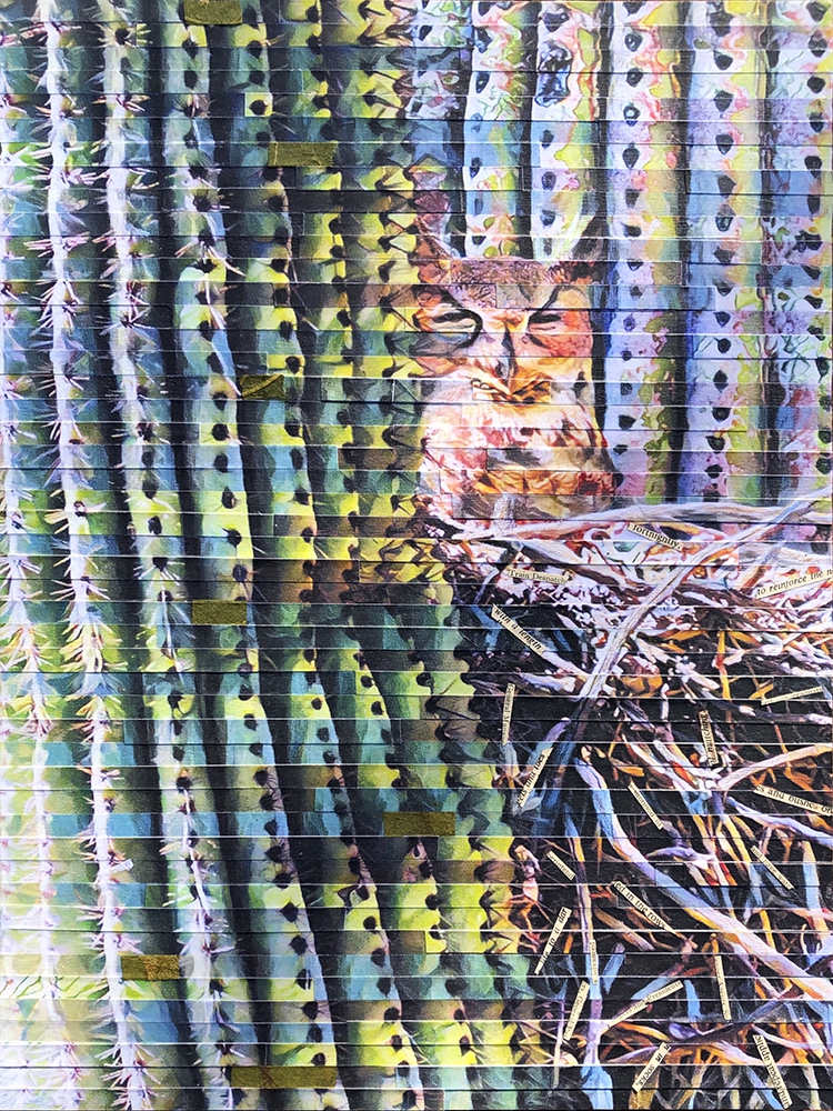 Click here to view Cactus Dreams by Lori Reed