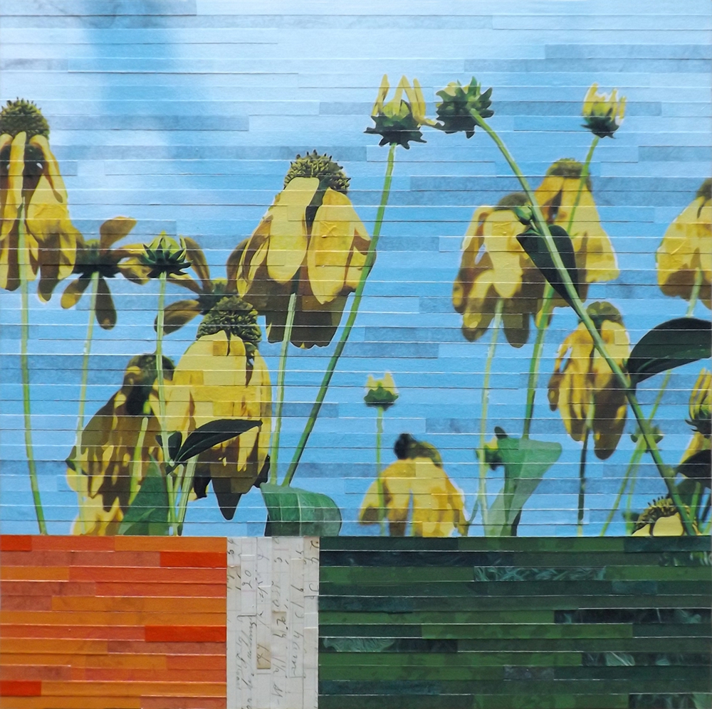 Click here to view Fields of Color by Lori Reed