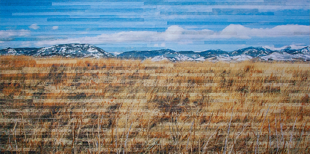 Click here to view Grass Whispers by Lori Reed