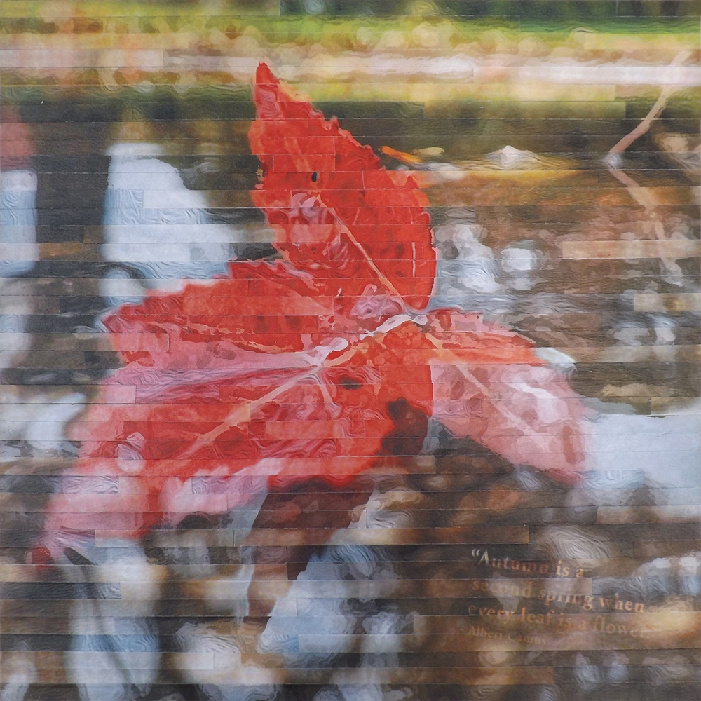 Click here to view Autumn Reflections by Lori Reed
