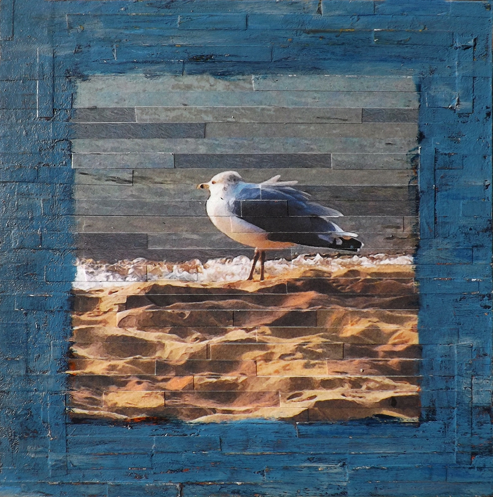 Click here to view Sunset Gull by Lori Reed