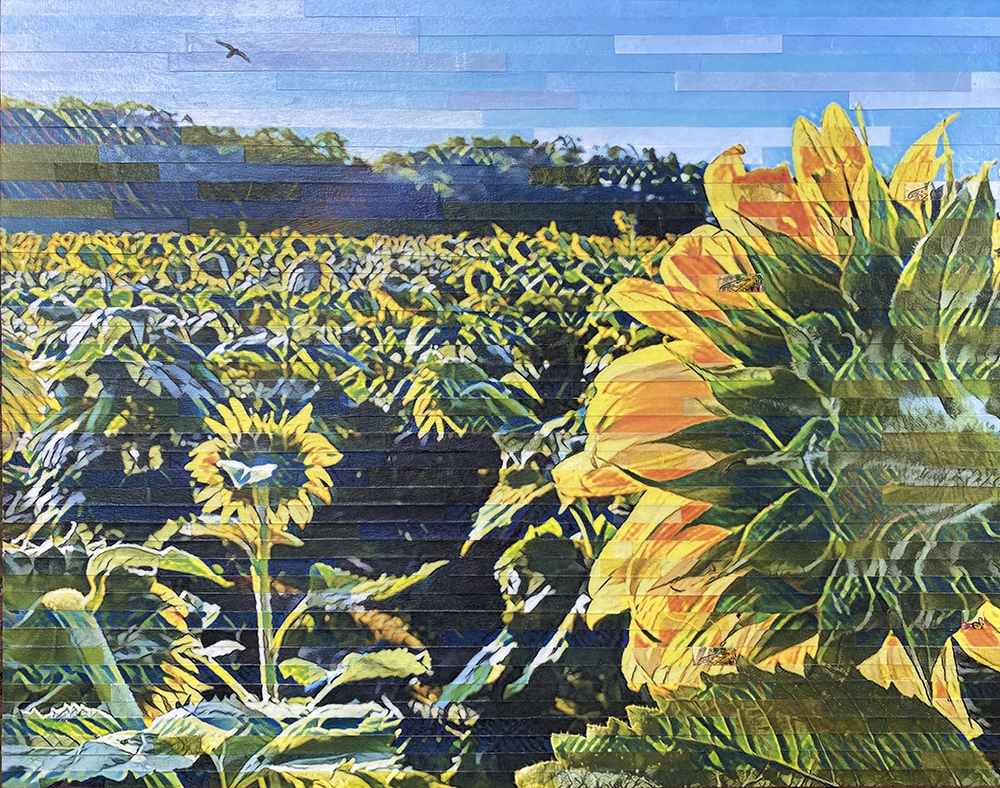 Click here to view Fields of Gold by Lori Reed