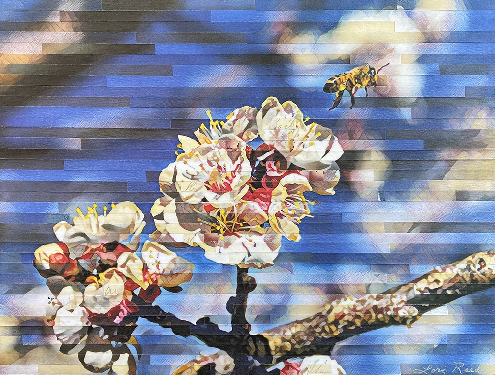 Click here to view Lift Off by Lori Reed