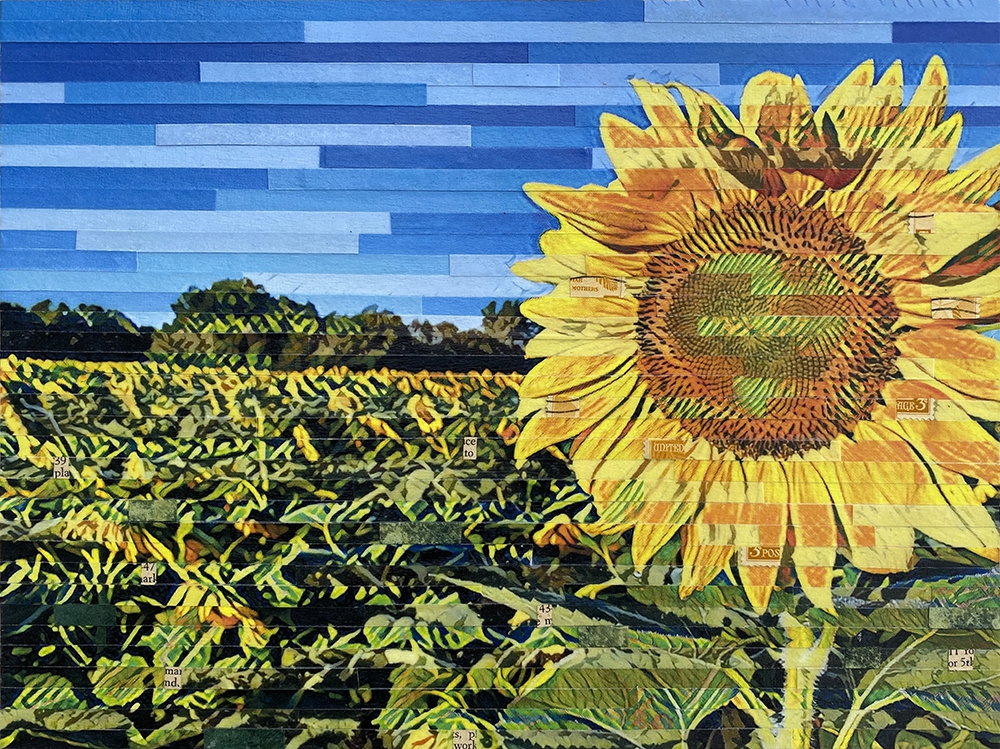 Click here to view Greeting the Sun by Lori Reed