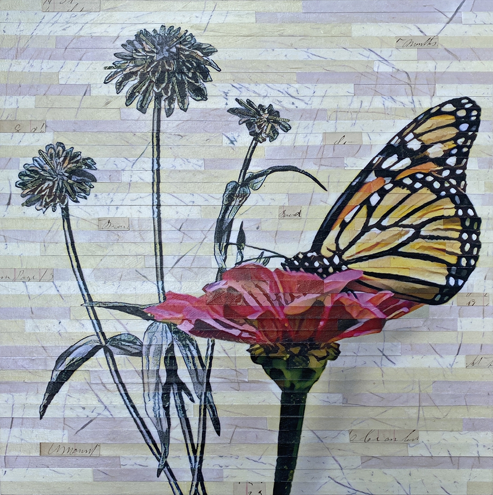 Click here to view Nature Study by Lori Reed