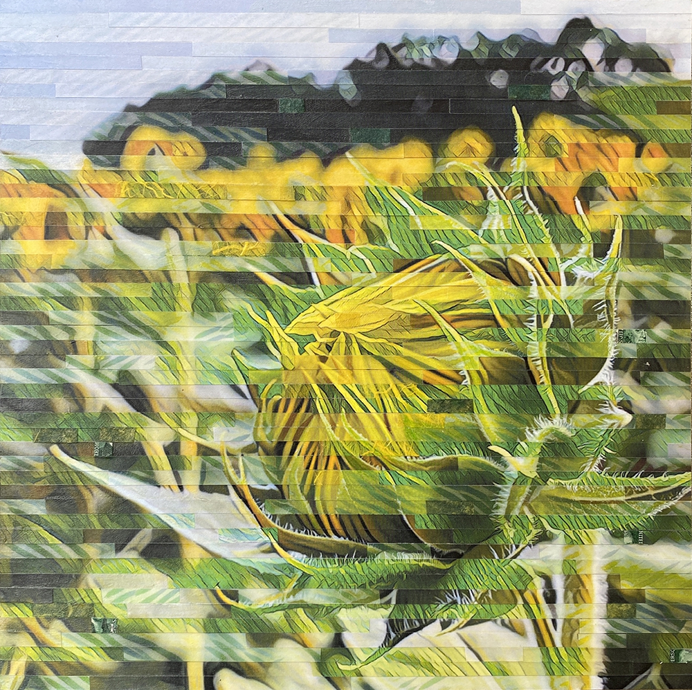 Click here to view Unfolding by Lori Reed