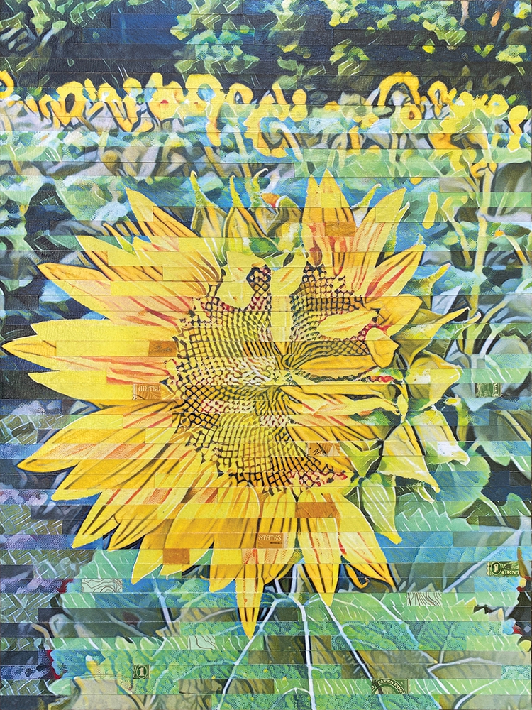 Click here to view Work in Progress by Lori Reed