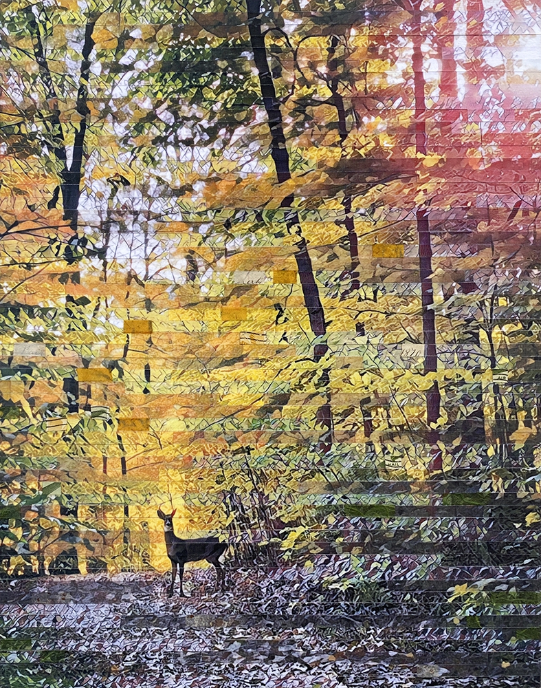 Click here to view Trail Traveler by Lori Reed