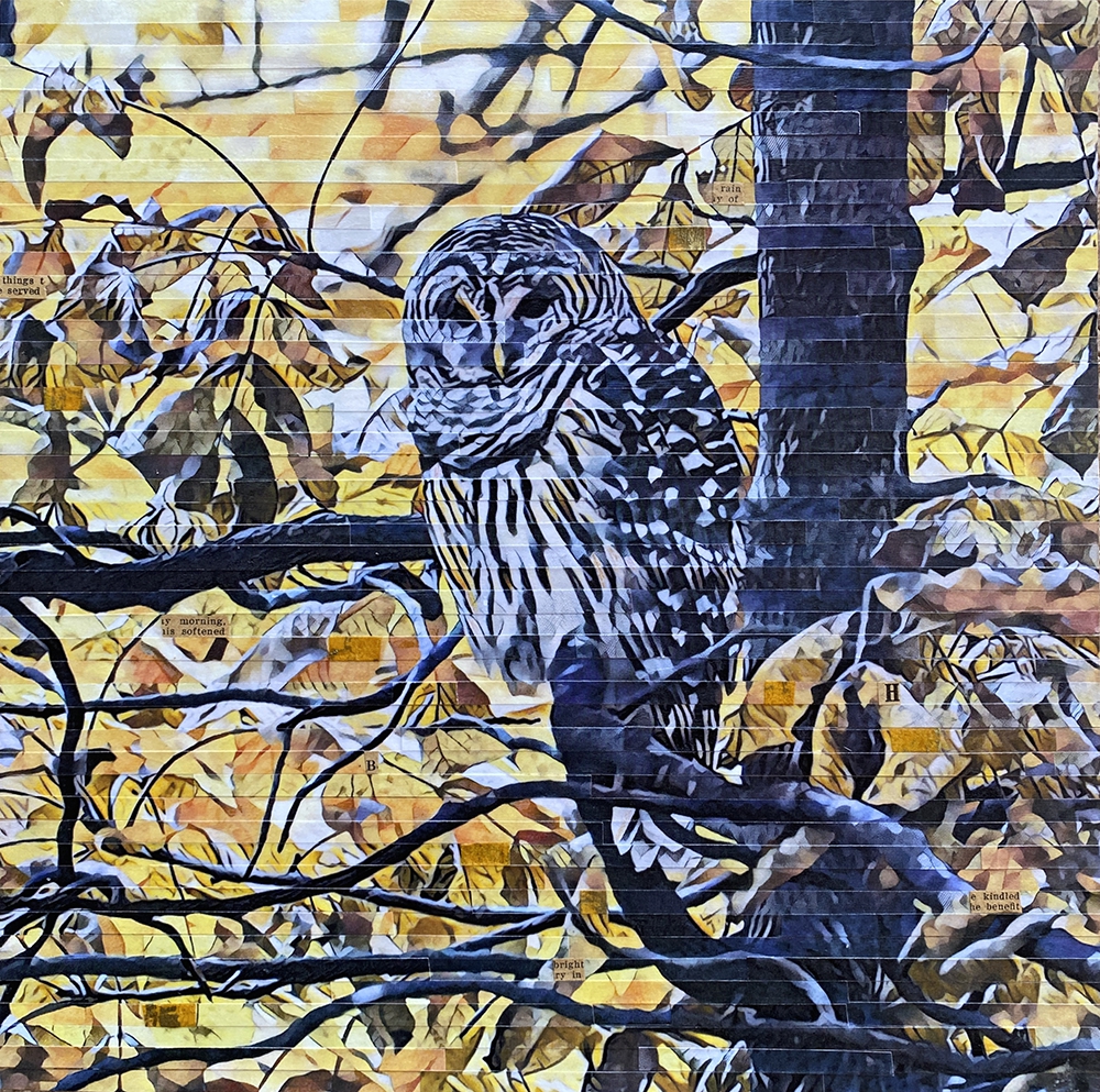 Click here to view Morning Visitor by Lori Reed