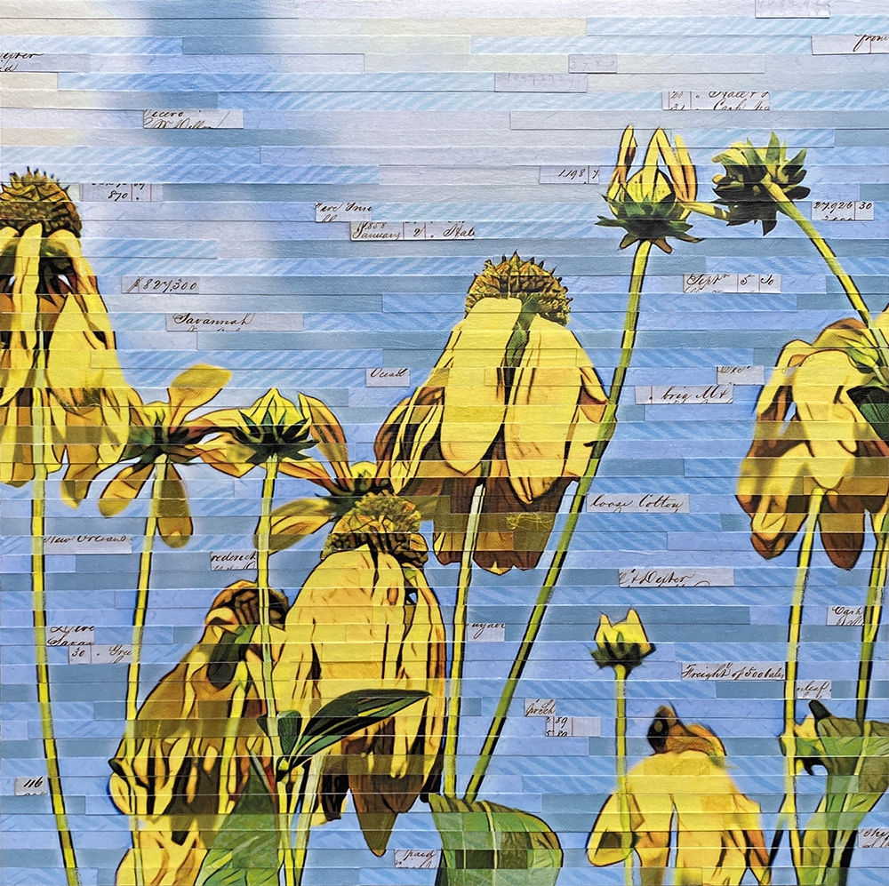 Click here to view Southern Exposure by Lori Reed