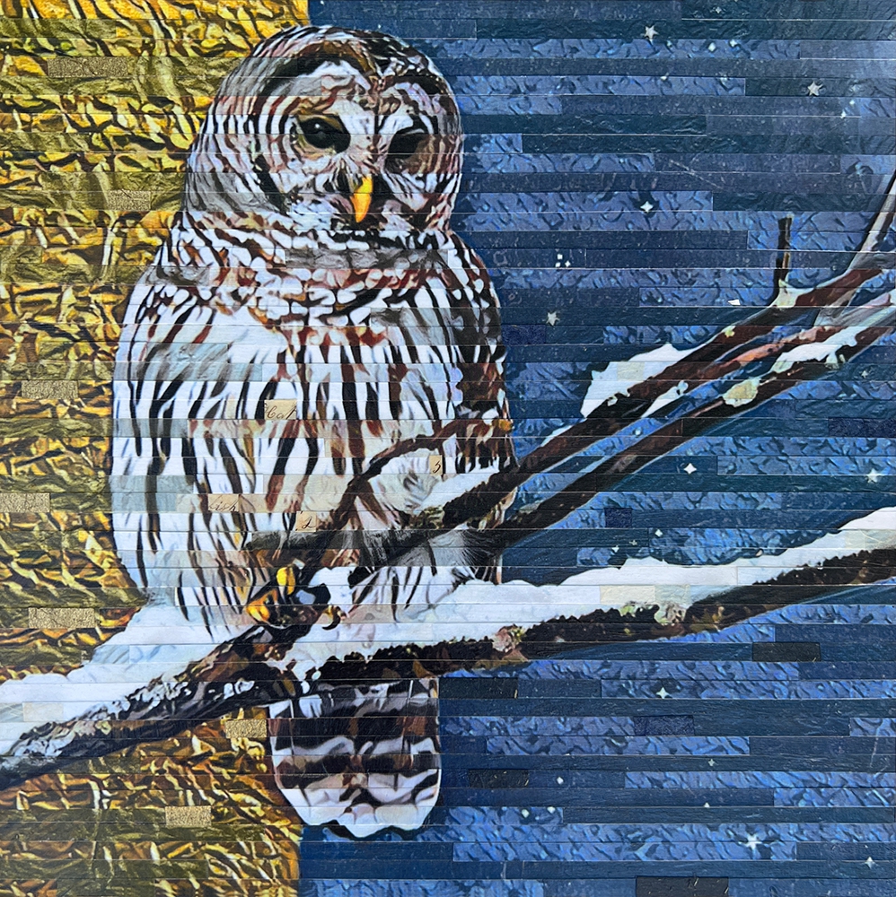 Click here to view Night Watchman by Lori Reed
