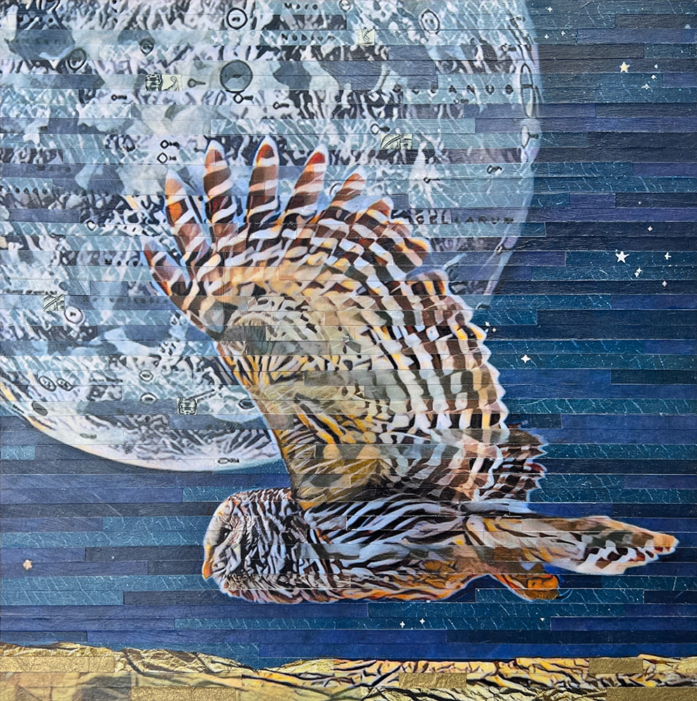 Click here to view Owl Moon by Lori Reed