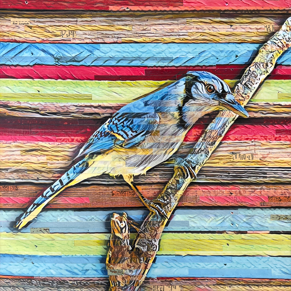 Click here to view Blue Note Jay by Lori Reed