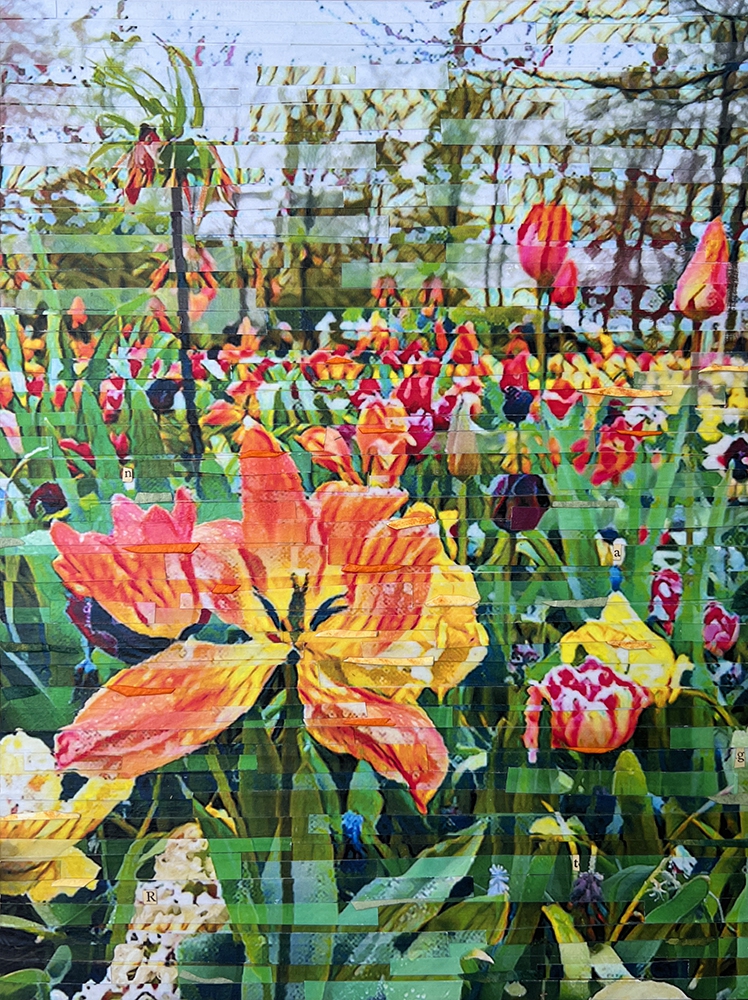Click here to view Eye Candy by Lori Reed