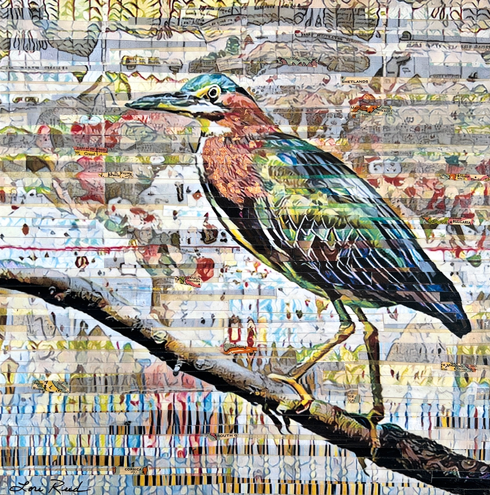 Click here to view A Heron's Worldview by Lori Reed