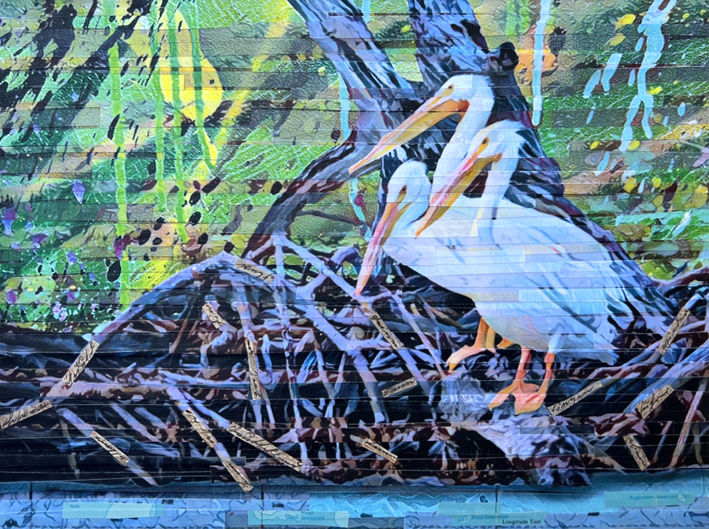 Click here to view Gossiping Pelicans by Lori Reed