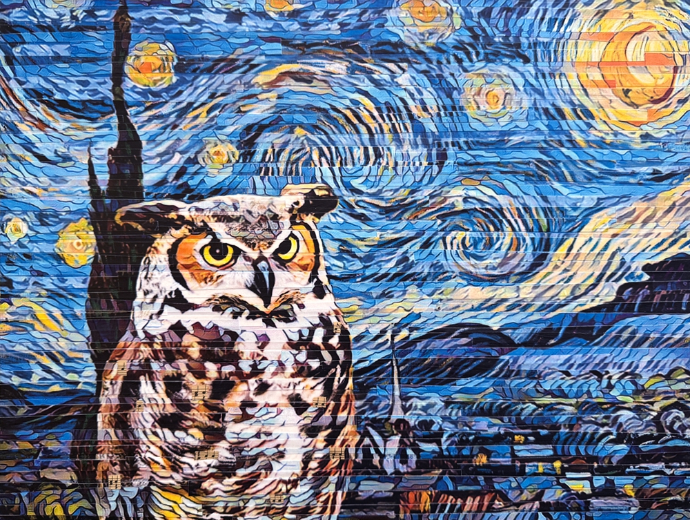 Click here to view Star Gazer by Lori Reed