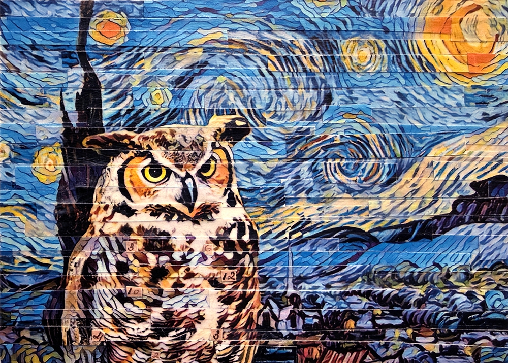 Click here to view Night Owl by Lori Reed