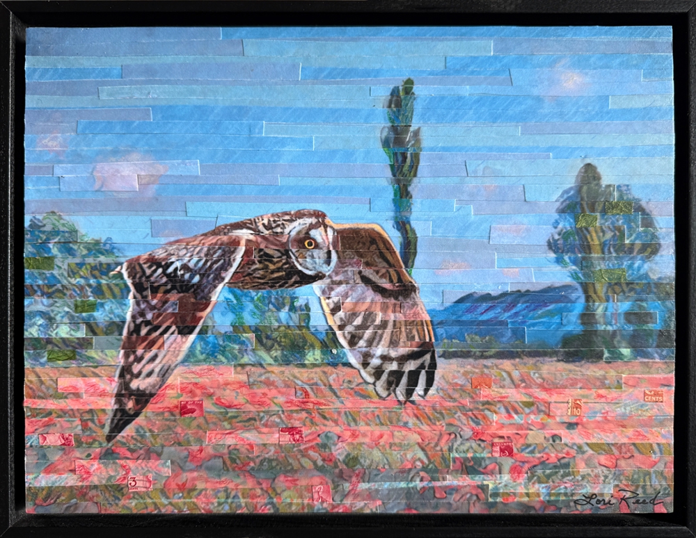 Click here to view Glide Path by Lori Reed